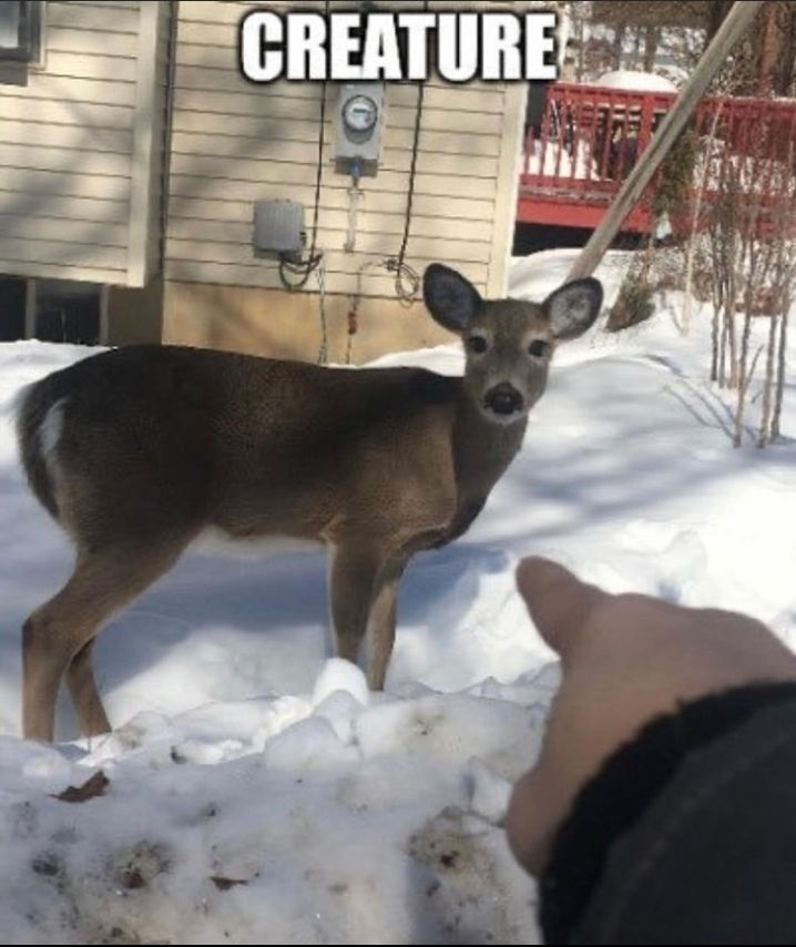 :^O