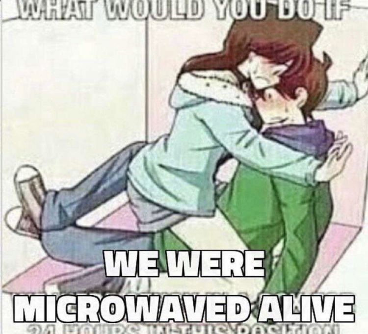 wwyd?