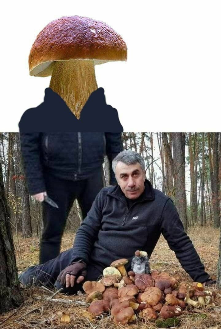 grib