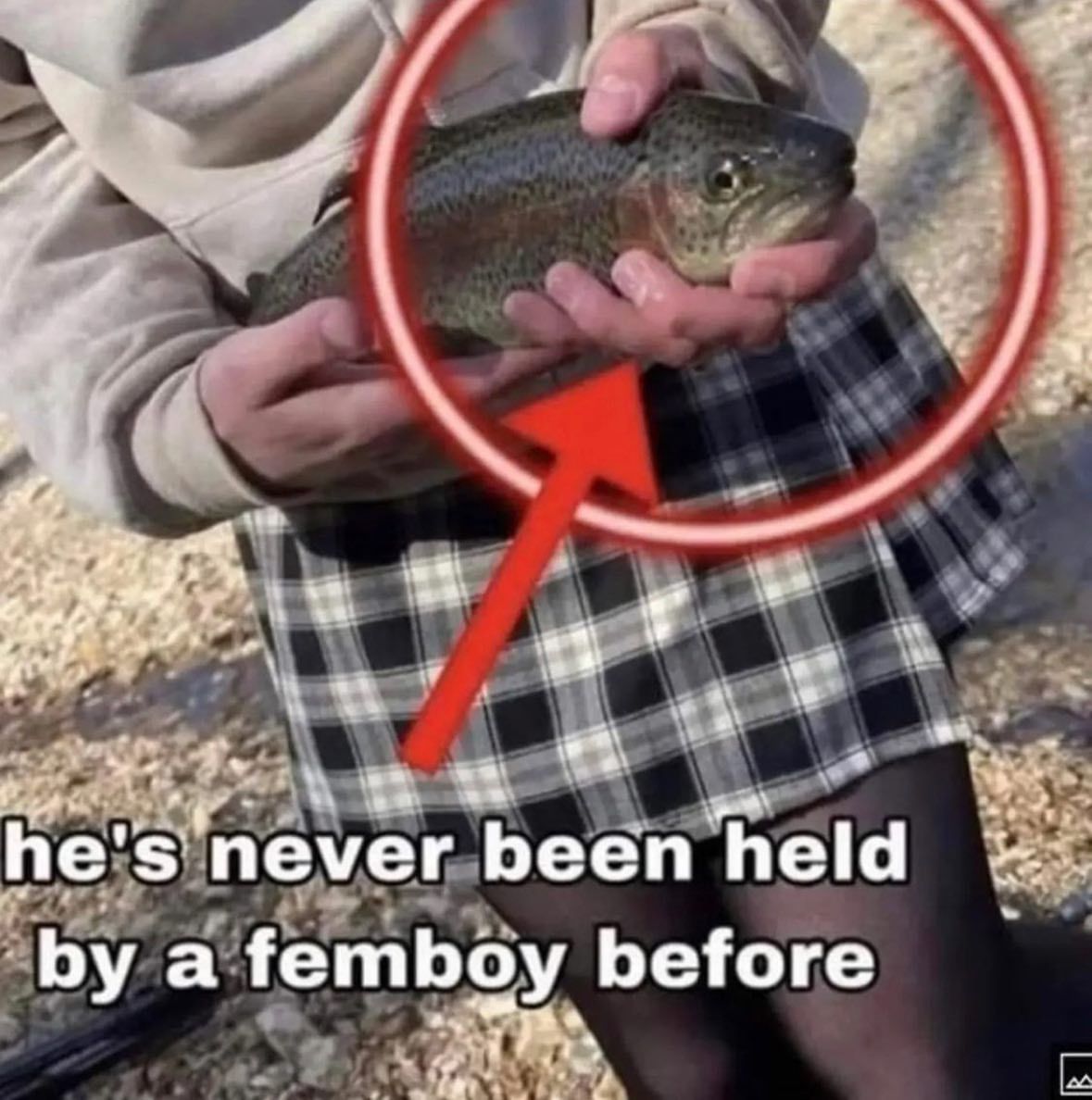 fish