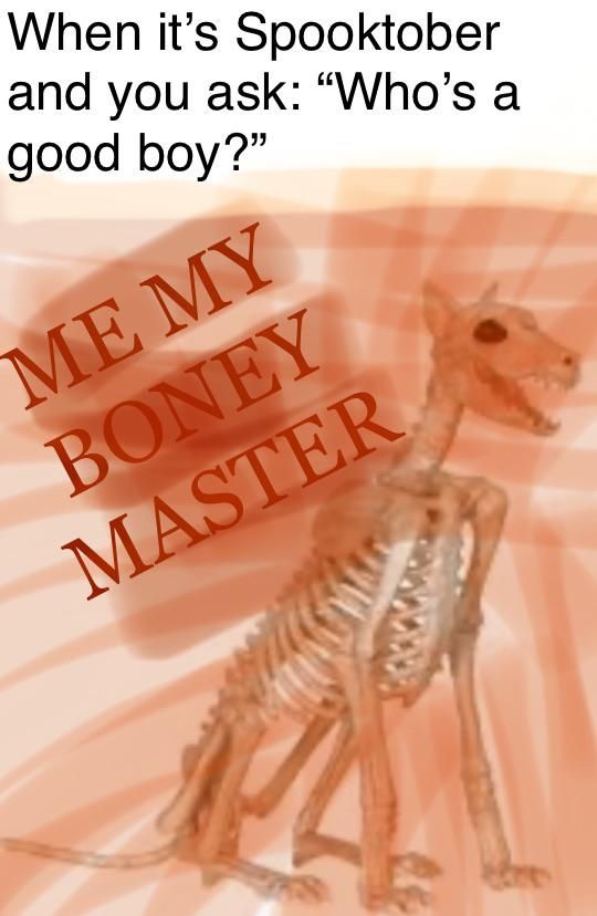 boneyboi