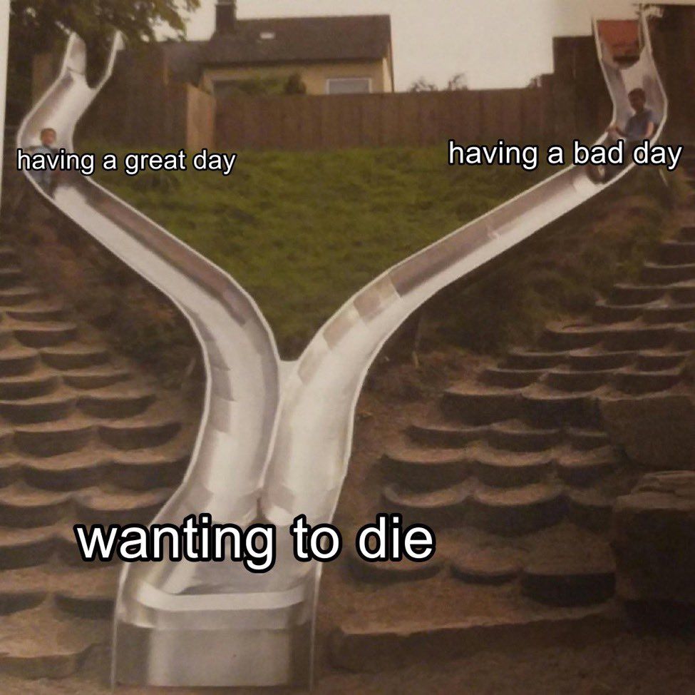 Having a day