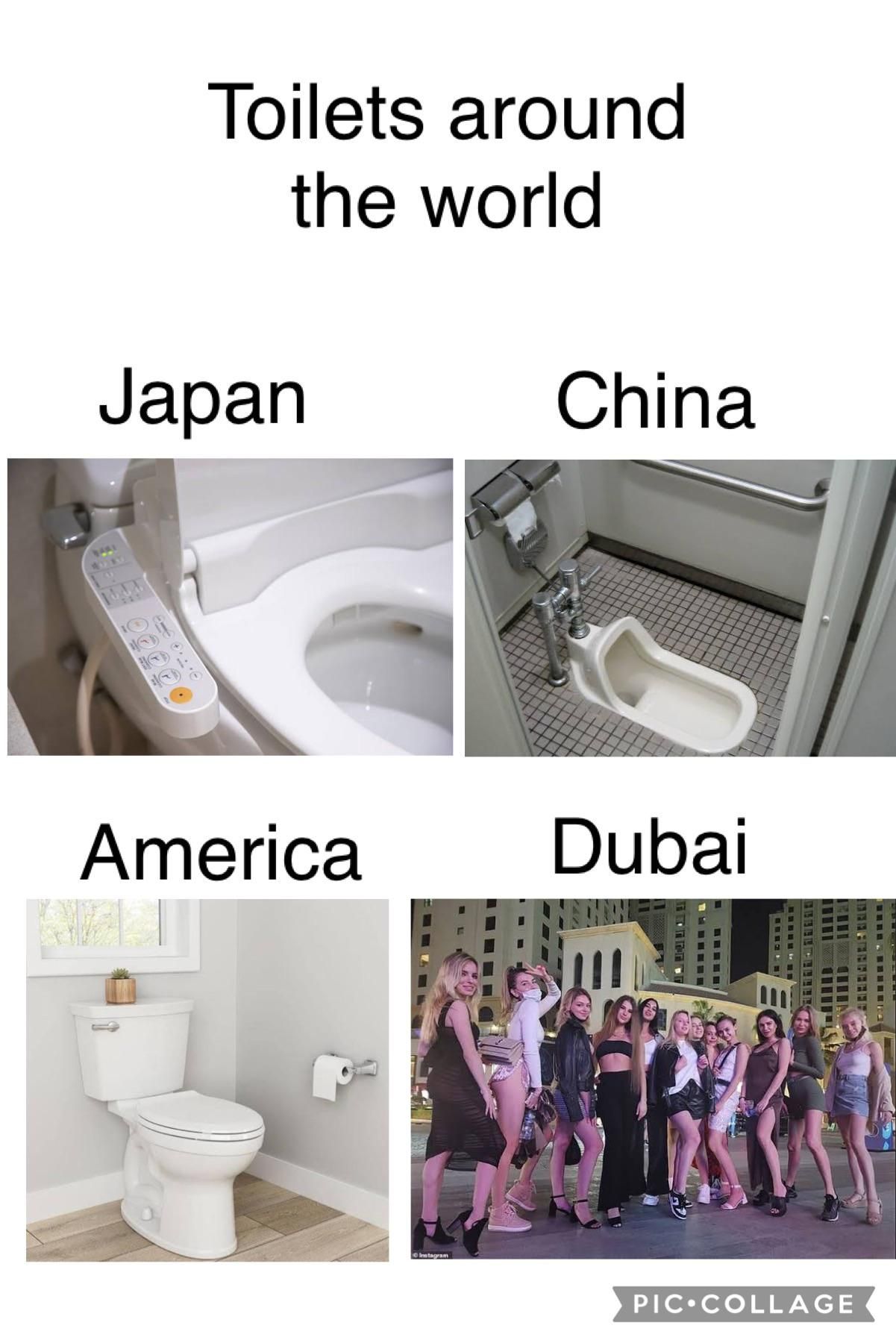 Dubai porta potty meme