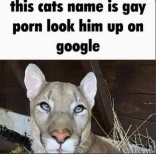***