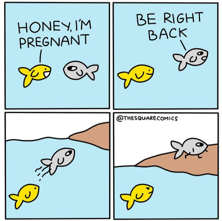 Hello pregnant. I'm gone