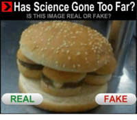 This fractal burger has an infinite surface area and therefore infinite taste