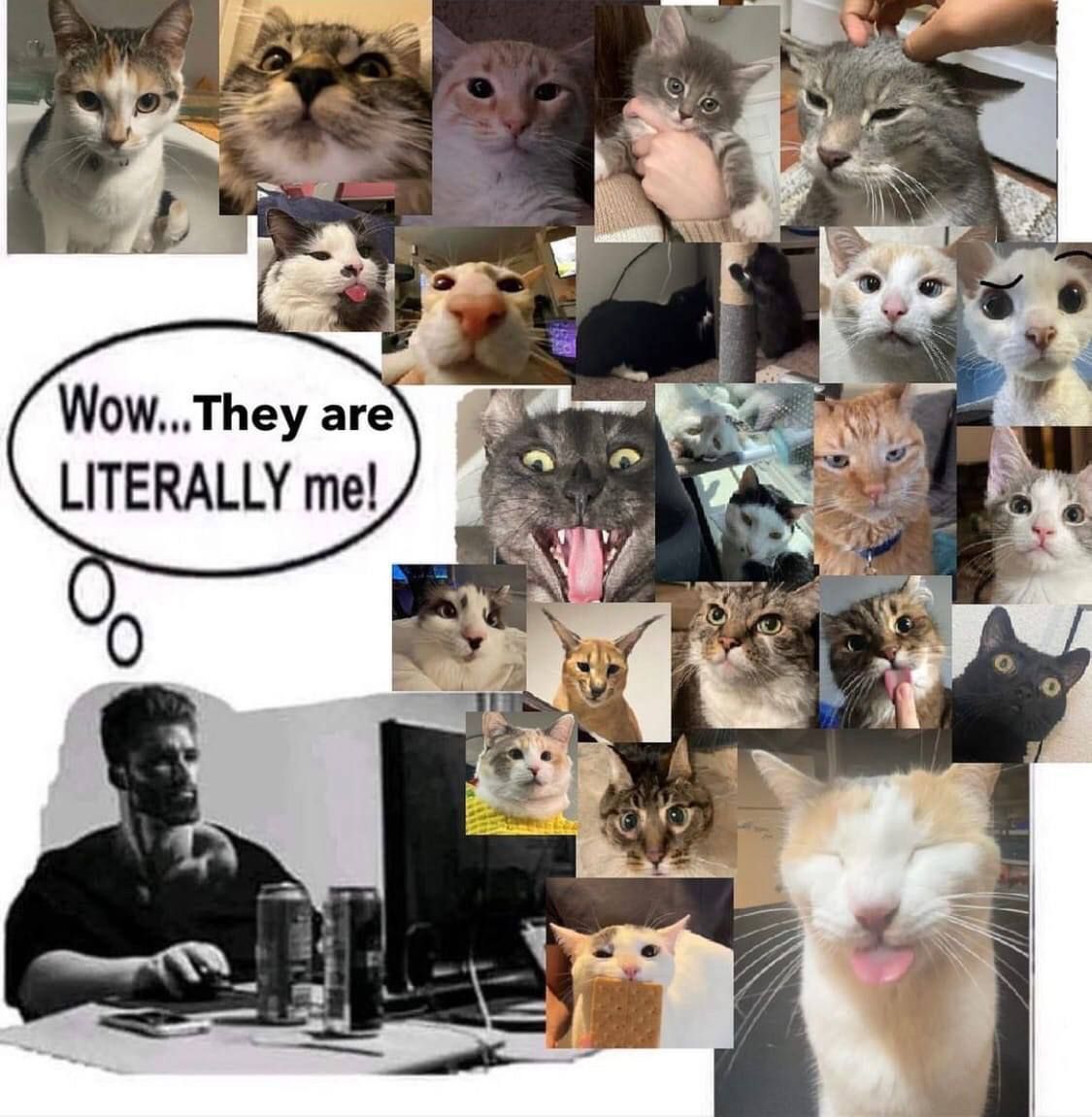 Wow