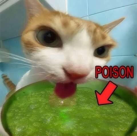 1 like = 1 antidote