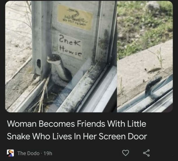 Wholesome woman moment