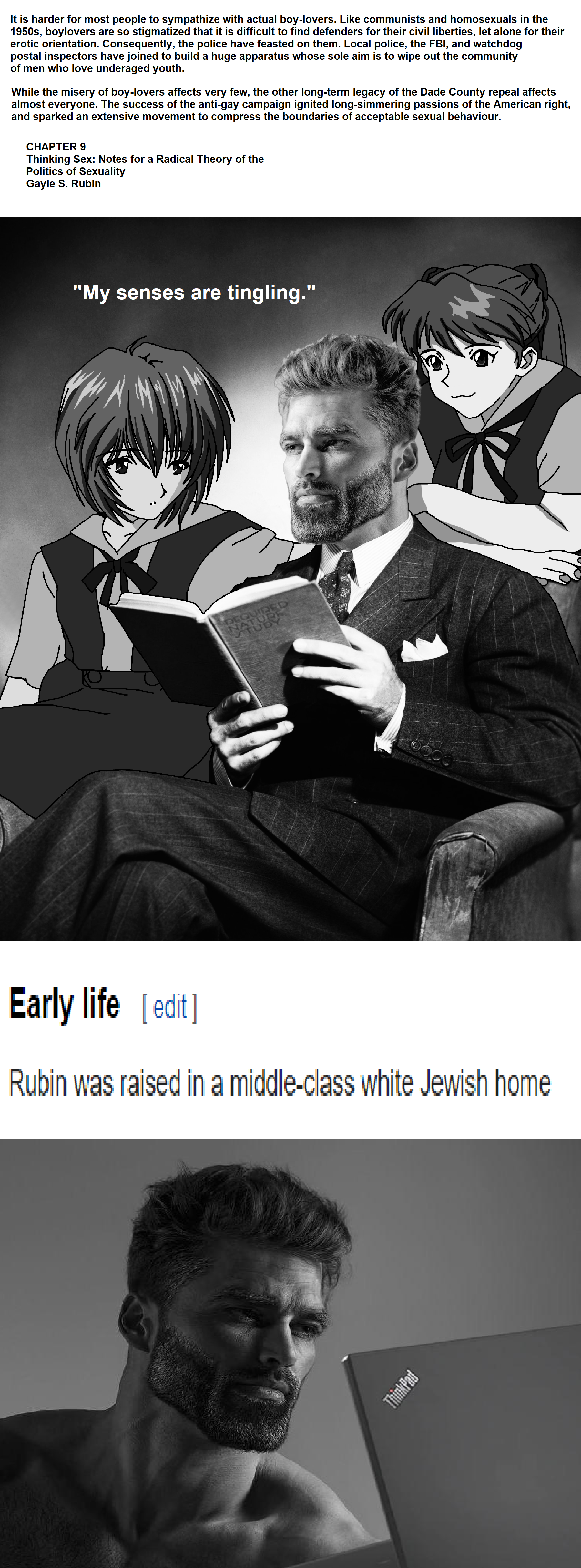 Literally a Boku no Pico apologist.