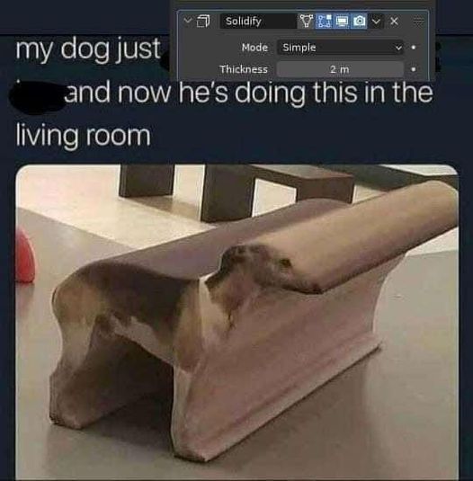 The cat watches this from the Z axis
