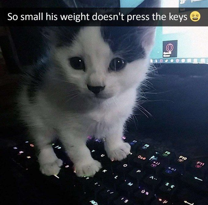 too smol for racism ;_;