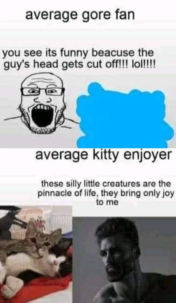 ‎‎‎‎