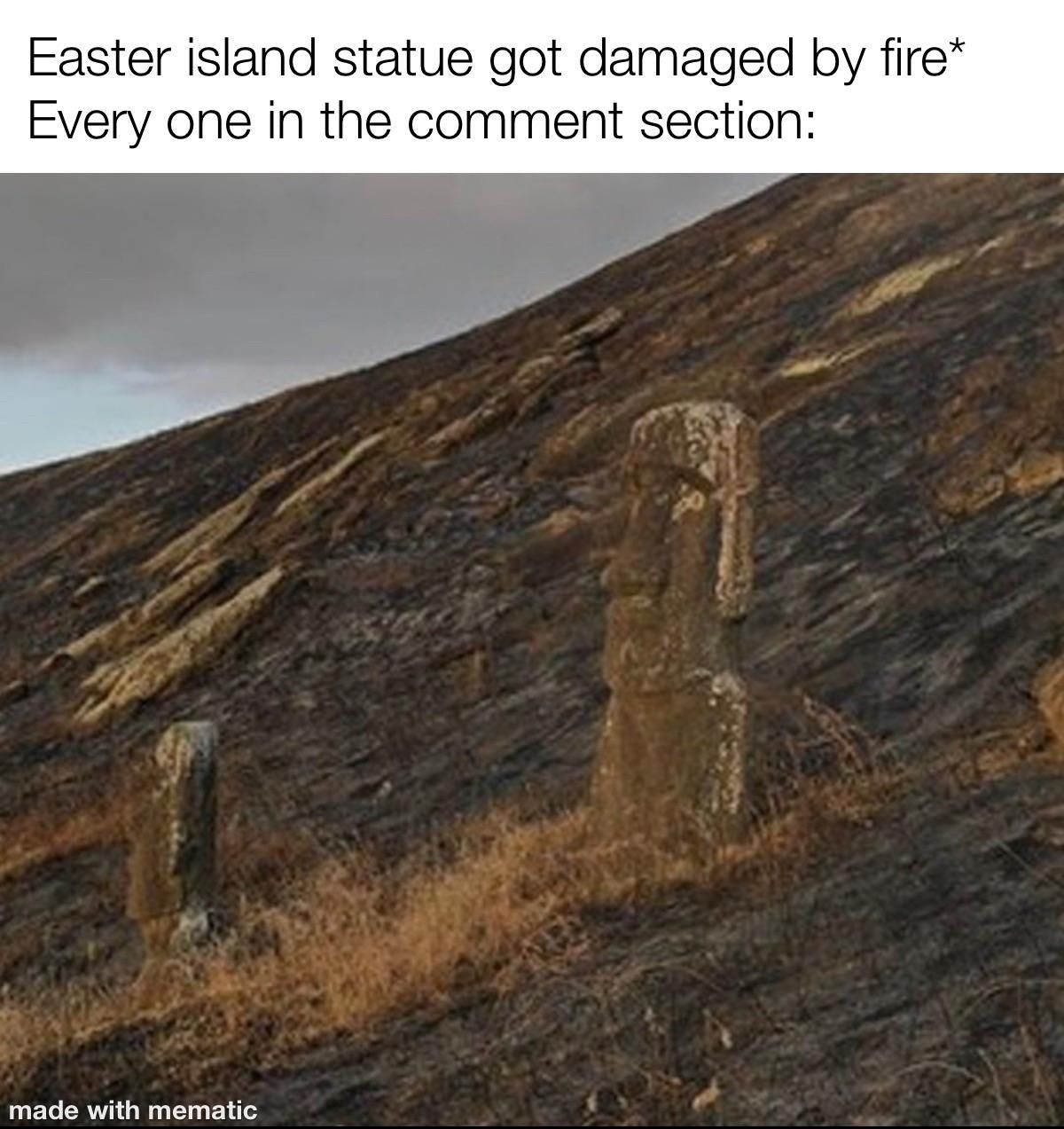 moai is eternal phoenix.