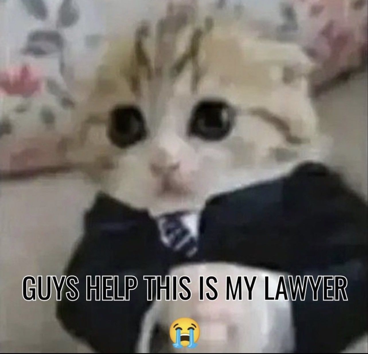 I'm going to jail