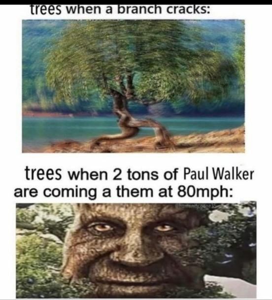 tree