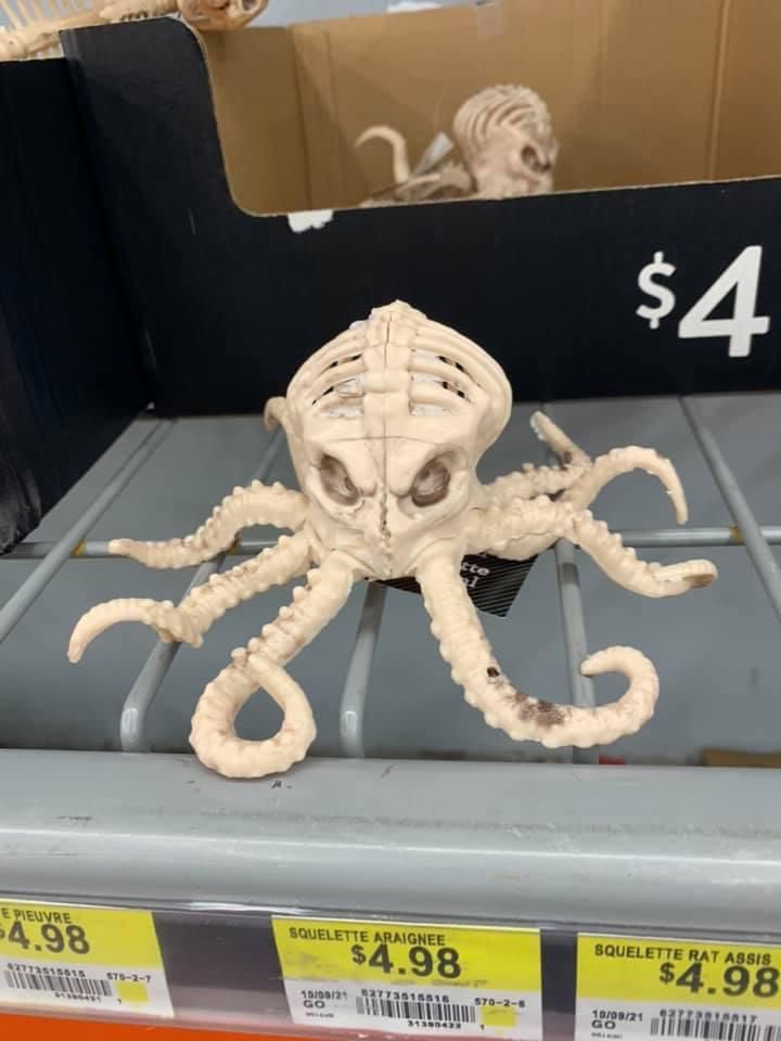 I found this aberration at Walmart. Seriously ? A mollusk skeleton..?