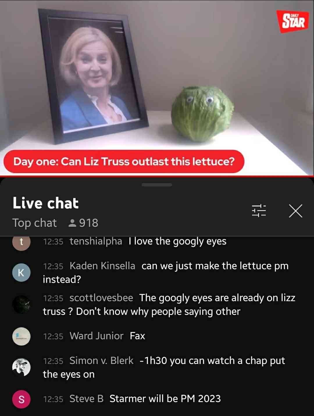 look at that lettuce