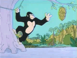 My Life in a Gif