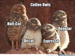 Coffe owls