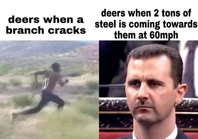 deer