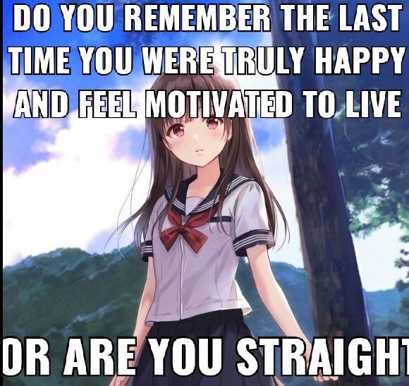Homo