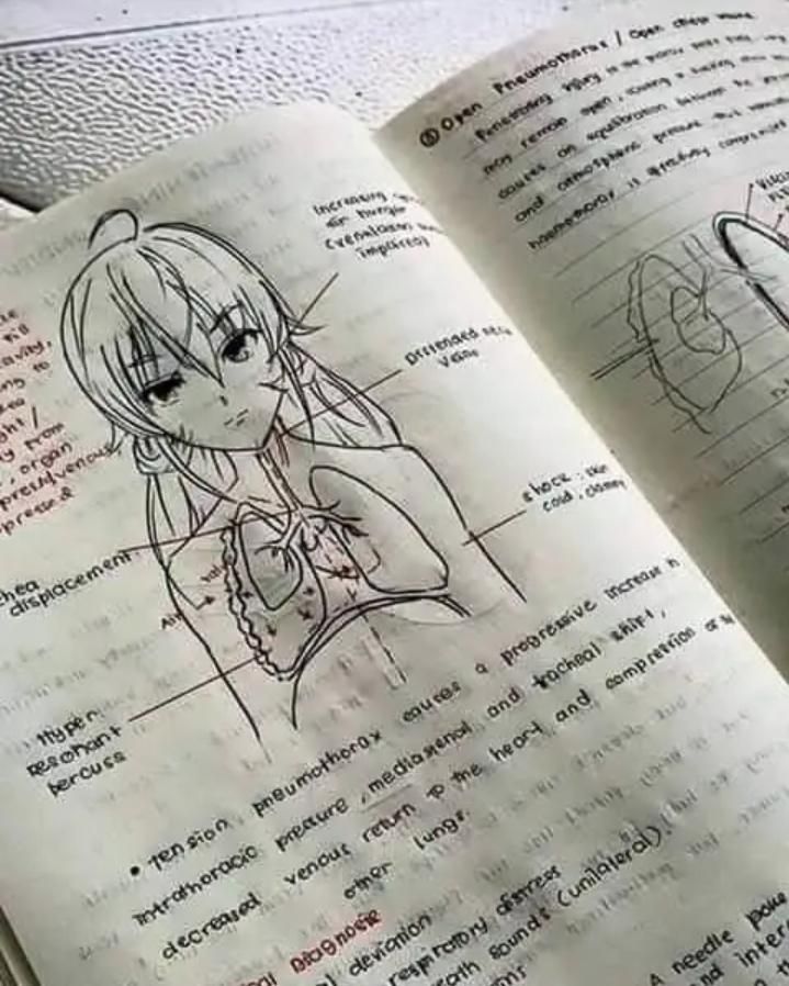 when you are a Med student but also an anime fan