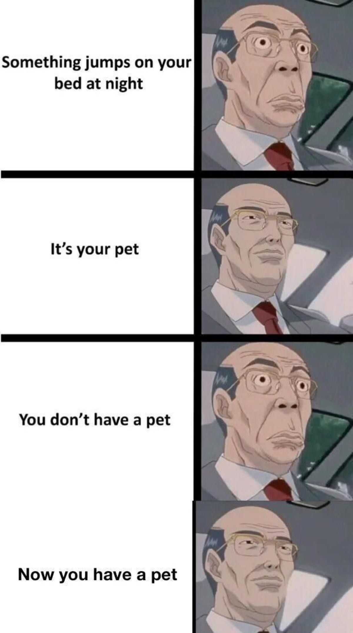 a pet