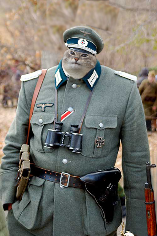 Hauptmann Dudders c.1943 colourised