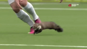 Im sure that was a Foul!