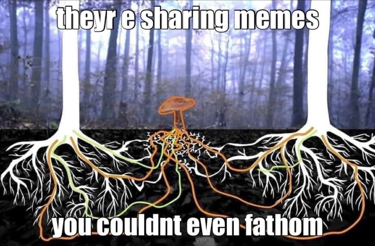 yes