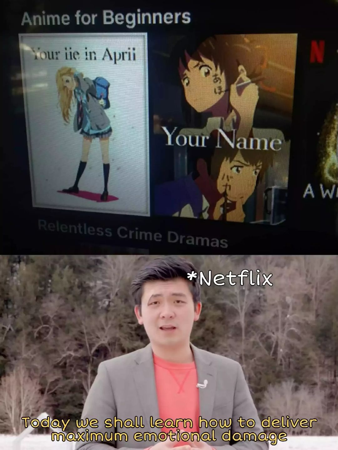netflix did that person dirty