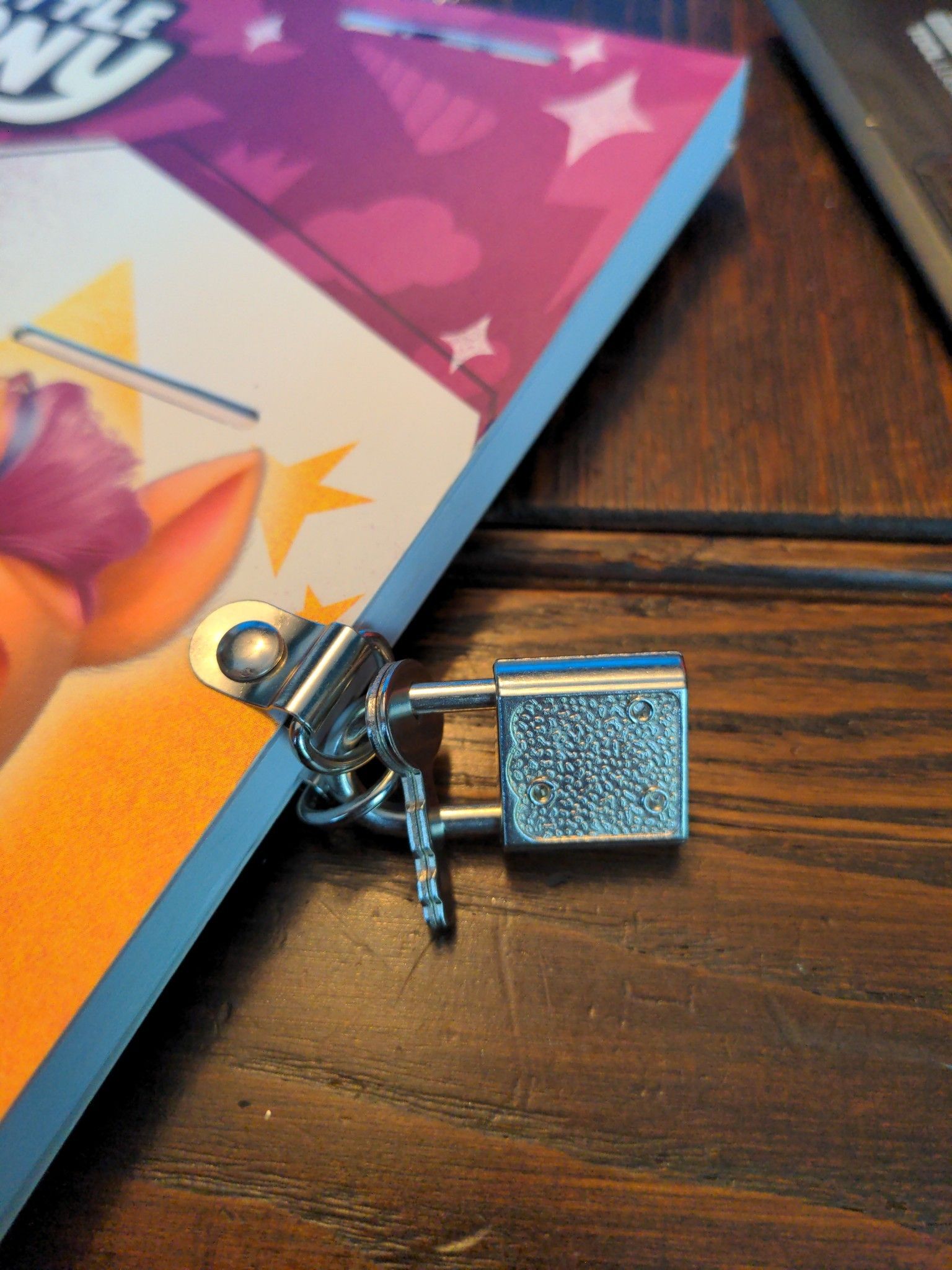 How My 6 Year Old Daughter Locked Her Diary 