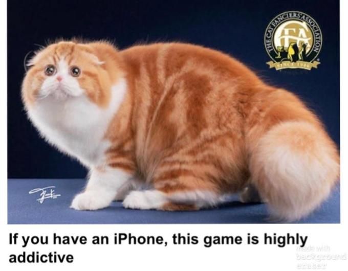 For Android users it's that game with the tree with the face, I guess