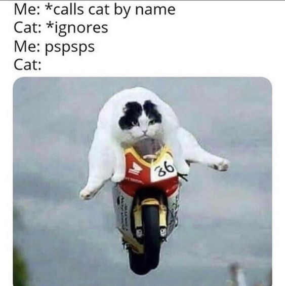 Probably repost