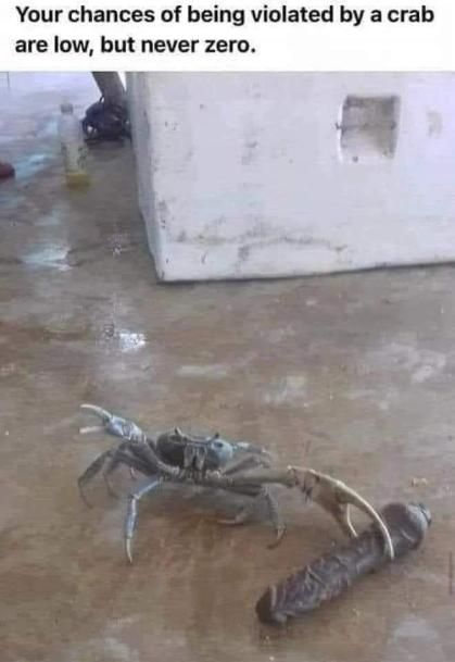 Mr.Crabs noo
