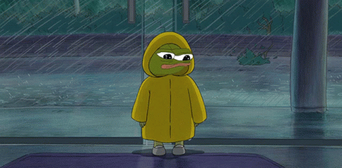 Pepe/apu a day - 297 in the rain