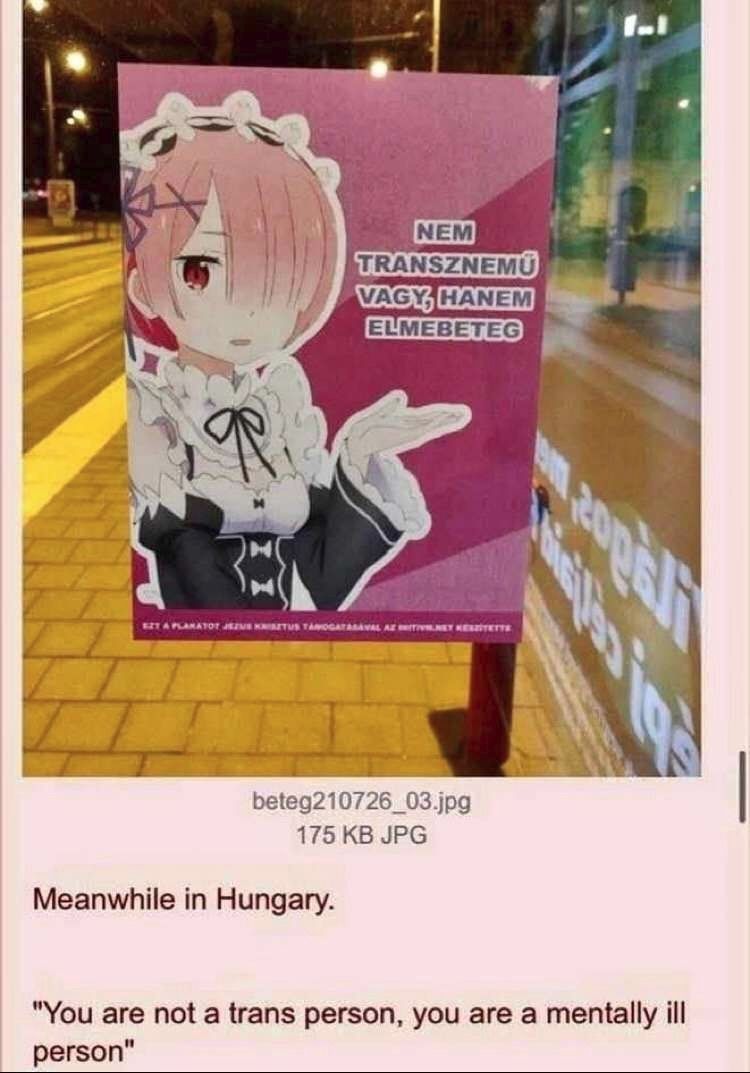 hungary is on fire