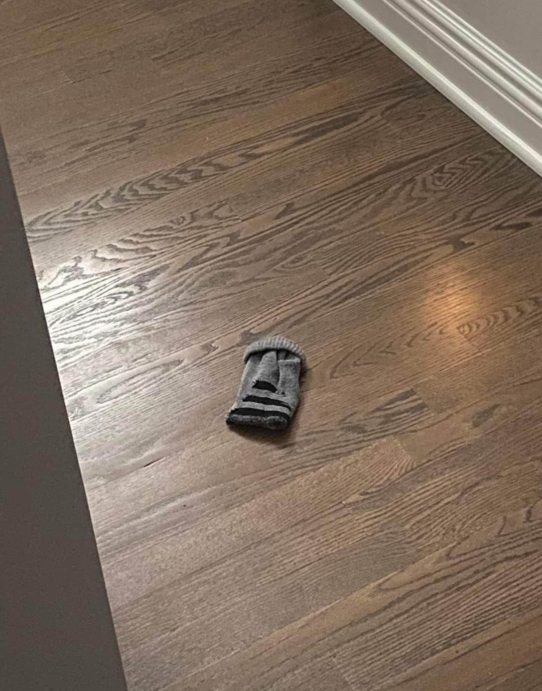 Someone dropped their sock