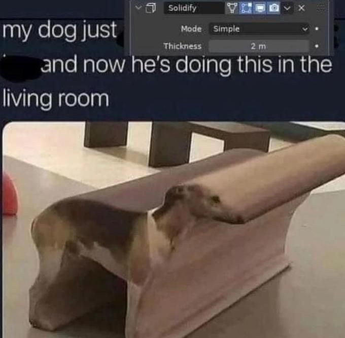 dog.exe had stopped working