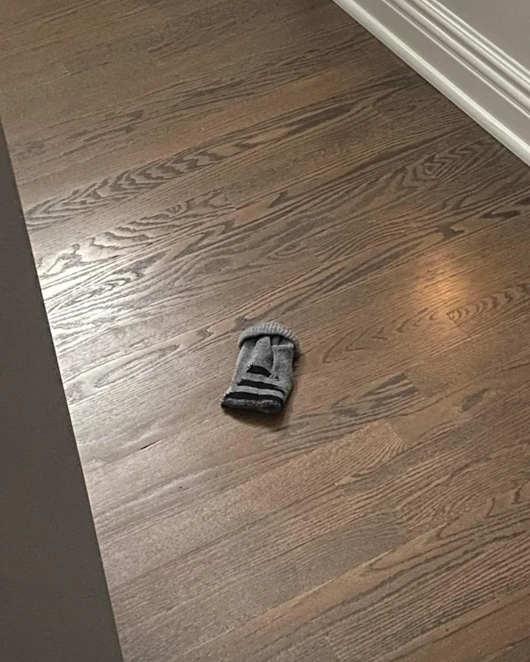 Anyone looking for their sock?