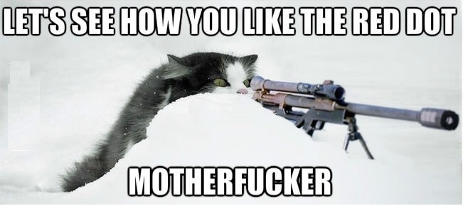 How do you like the red dot? Damn humans!!!