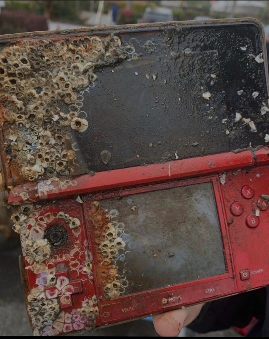 Wanna play some Pokemon Coral?