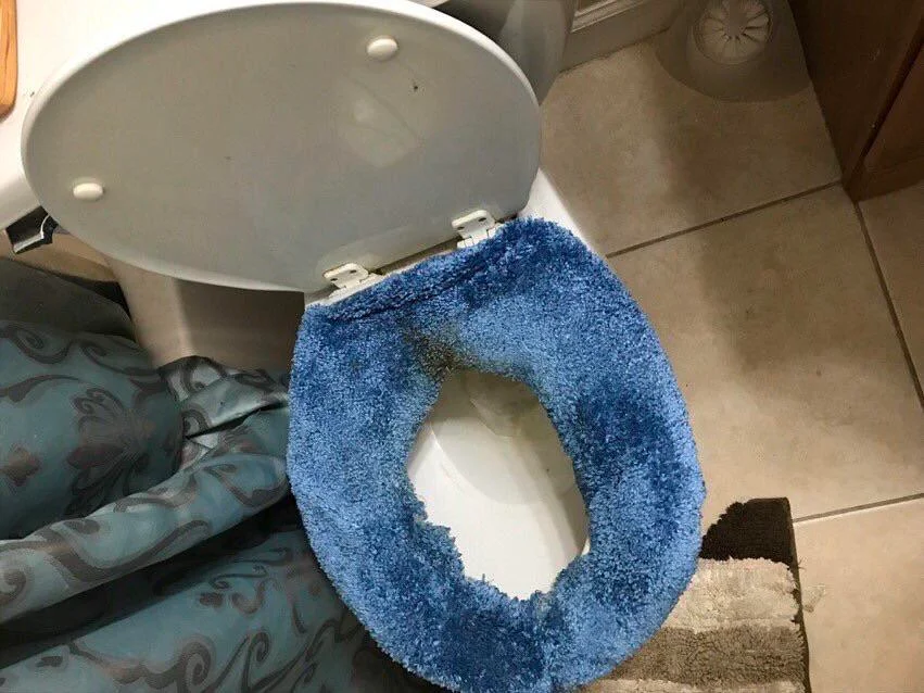 What do you think of my toilet seat cover?