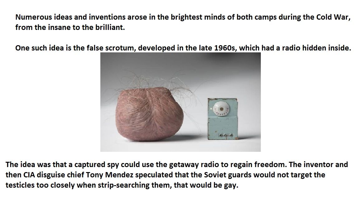 The glorious latex nut sack