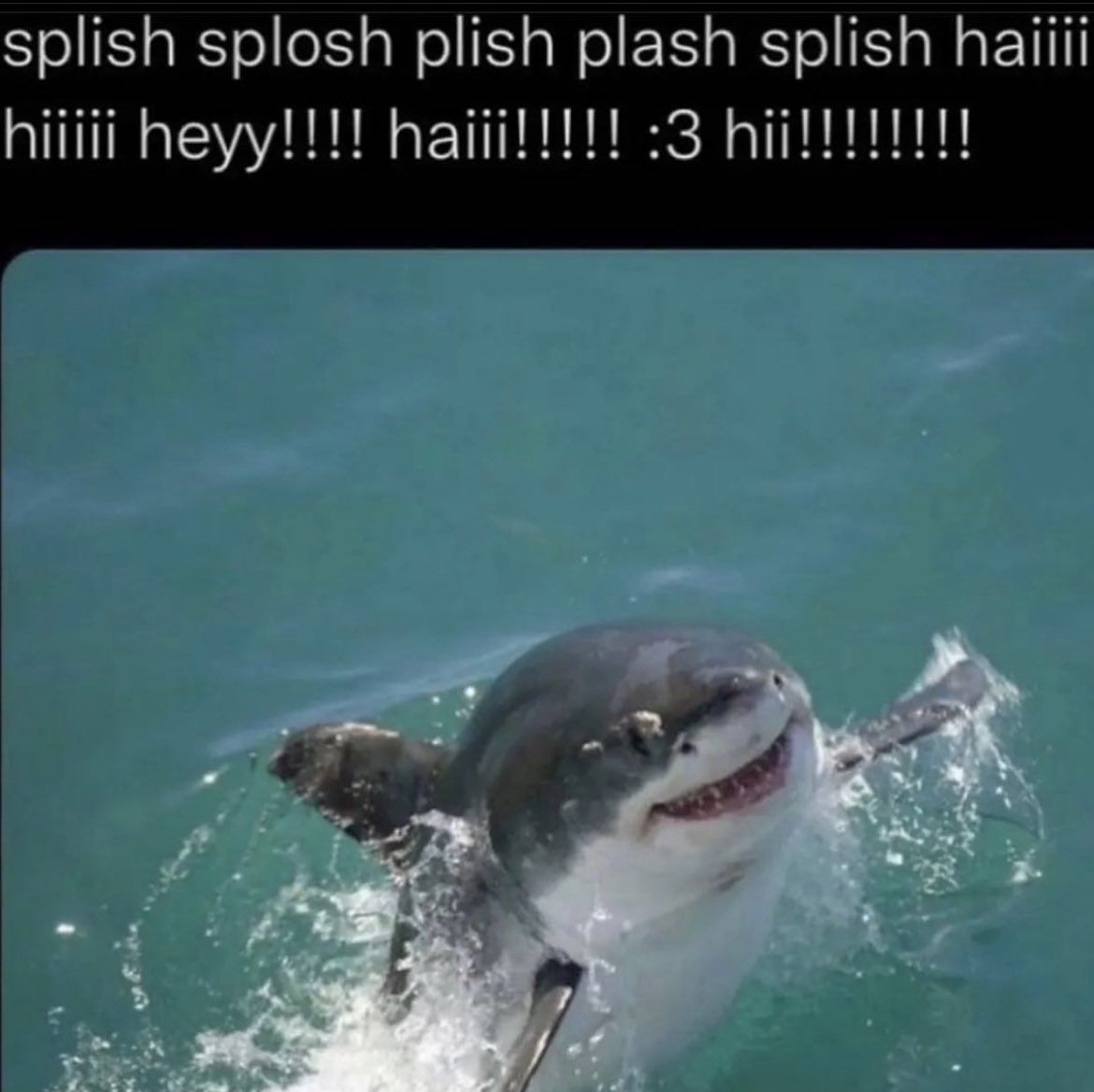*splash*