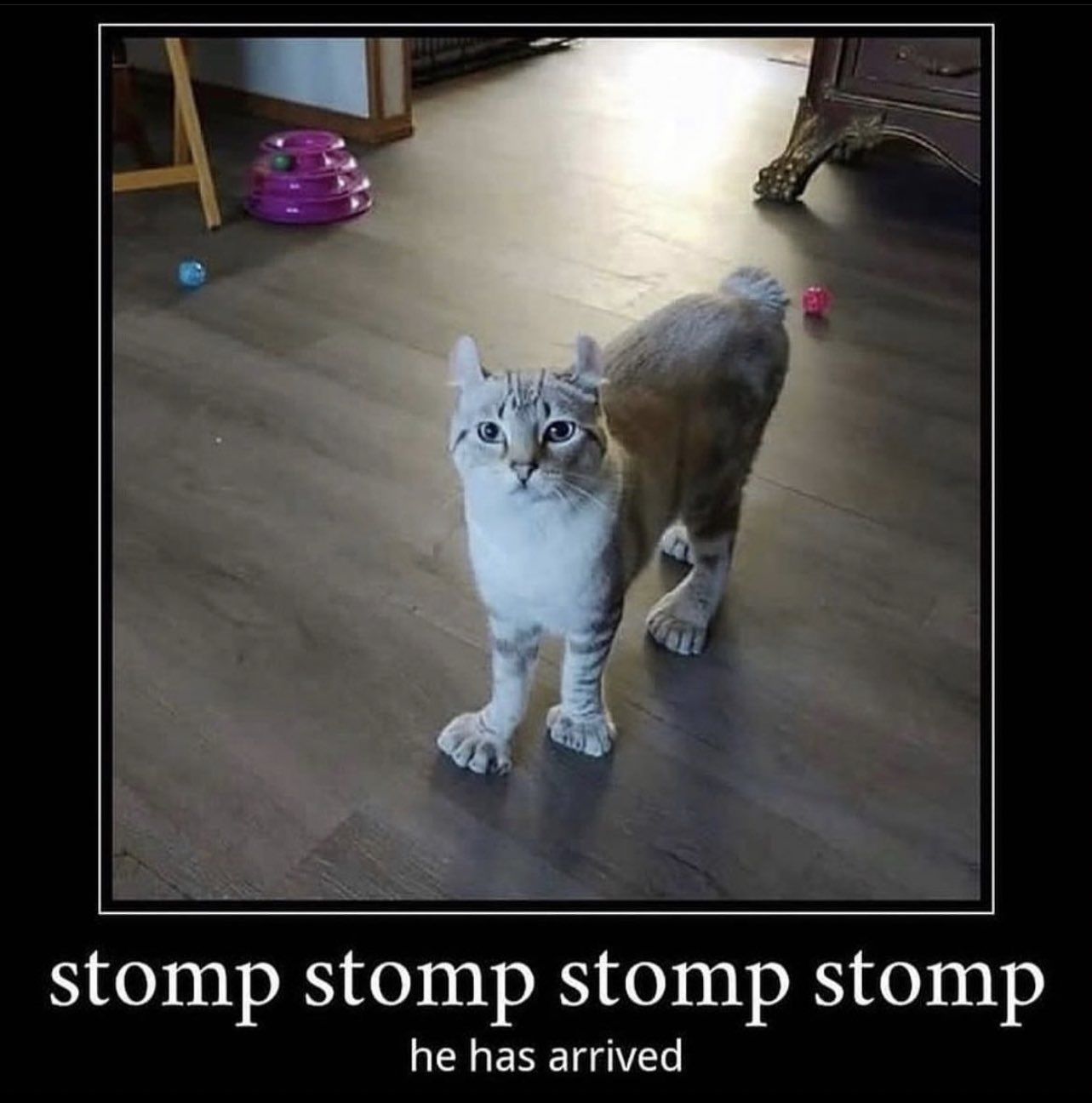 *stomp stomp*