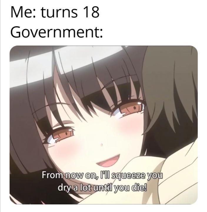 Taxes