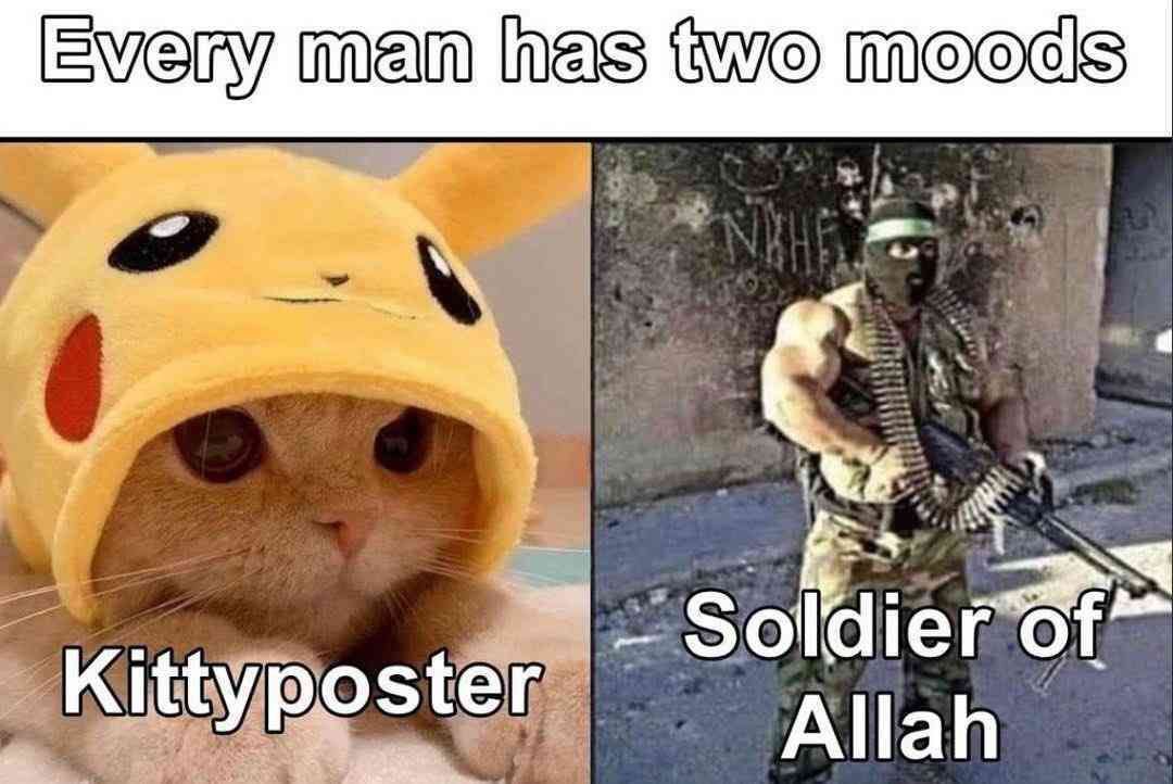 Mujahid