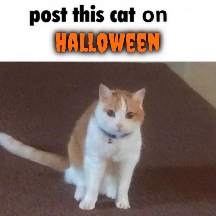 Spook